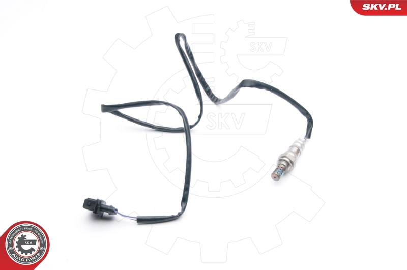 Oxygen Sensor
